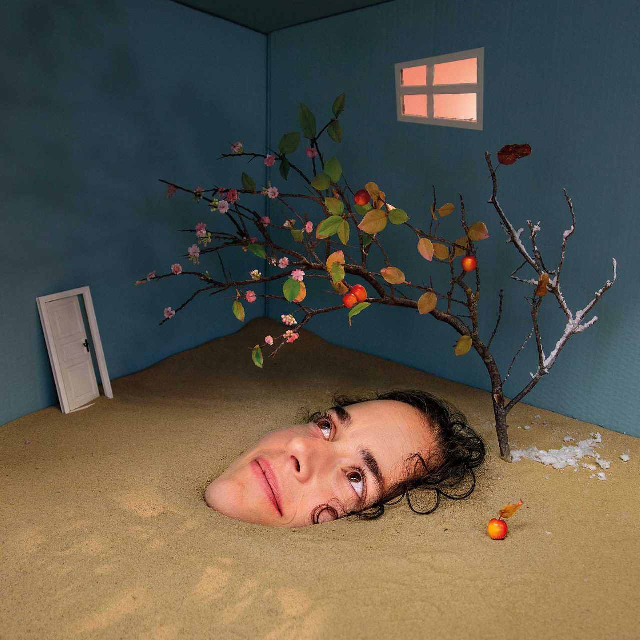 Winnaar Gouden Krekel